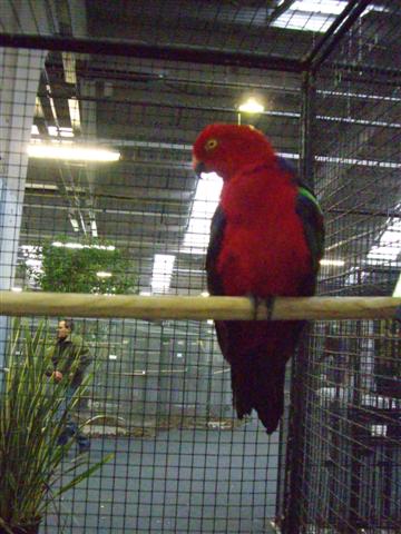 Photo 018 (Small).jpg