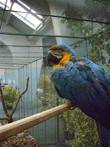 Photo 020 (Small).jpg