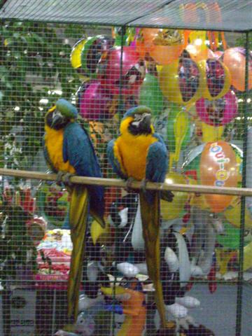 Photo 022 (Small).jpg