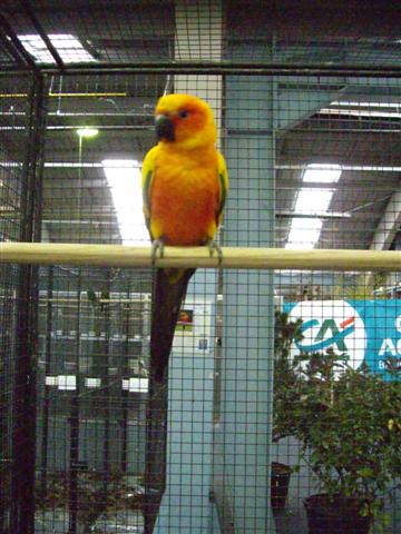 Photo 023 (Small).jpg