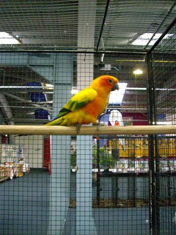 Photo 024 (Small).jpg