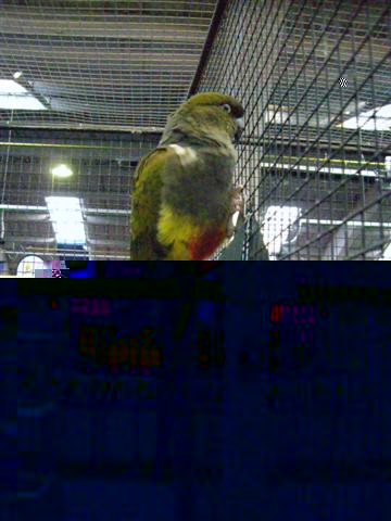 Photo 025 (Small).jpg