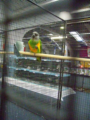 Photo 027 (Small).jpg