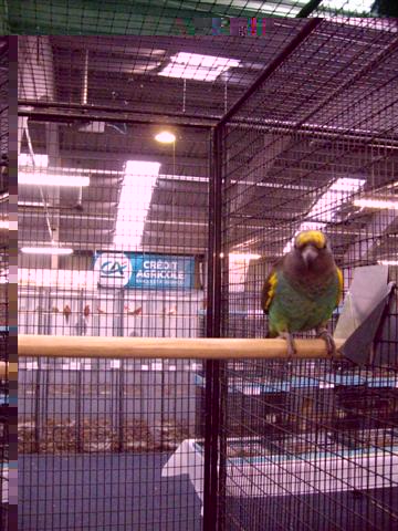 Photo 028 (Small).jpg