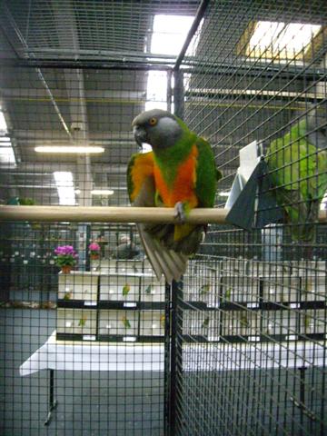 Photo 029 (Small).jpg