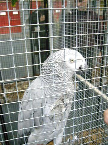 Photo 030 (Small).jpg