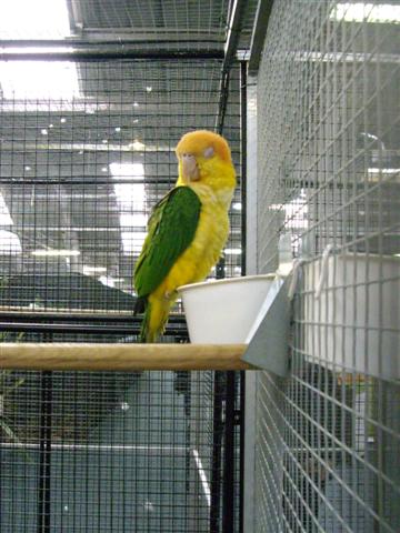 Photo 031 (Small).jpg