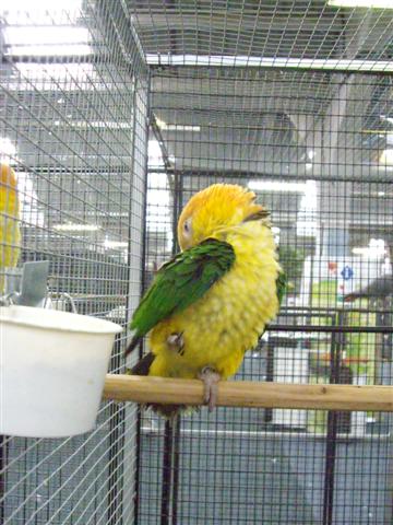 Photo 032 (Small).jpg