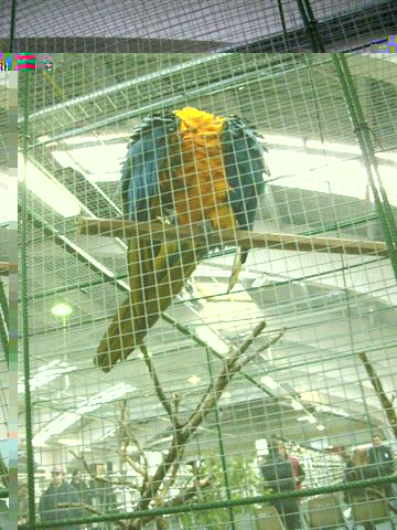 Photo 034 (Small).jpg