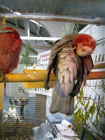 Photo 036 (Small).jpg