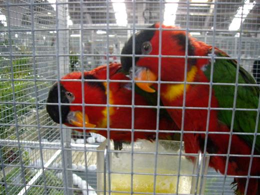 Photo 037 (Custom).jpg