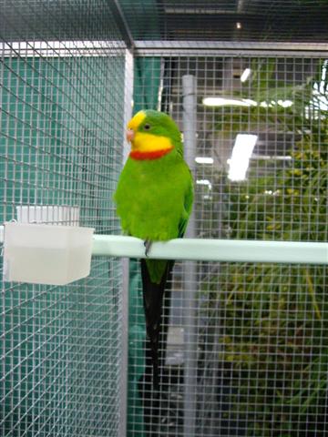 Photo 043 (Small).jpg