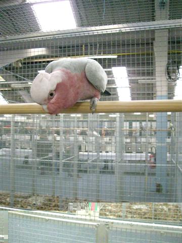 Photo 044 (Small).jpg