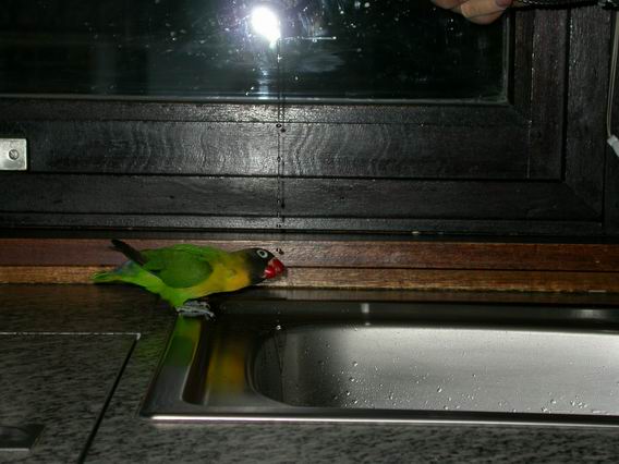 Resize of 20-03-040065.jpg