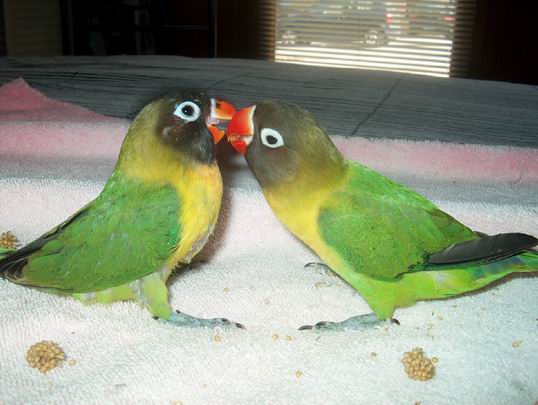 Resize of 17-03-040001.jpg