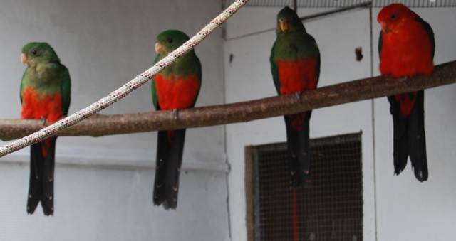 PÃ©re avec ses jeunes.jpg