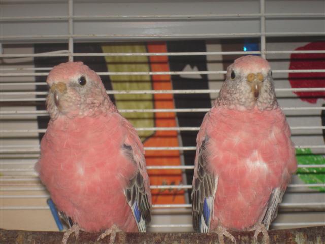 DSC02191 (Small).JPG