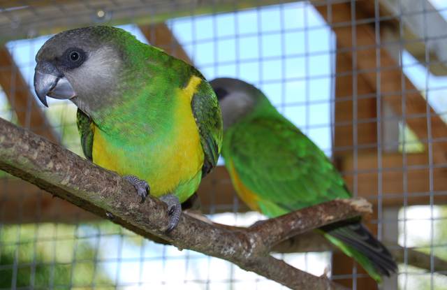 BÃ©bÃ© 2008 .jpg