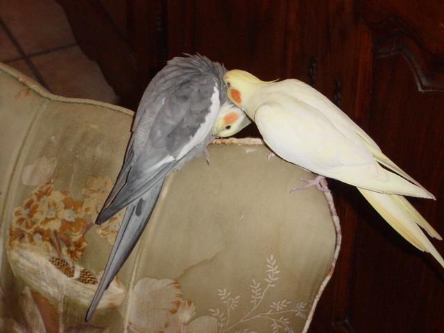 DSC02297 (Small).JPG