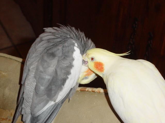 DSC02299 (Small).JPG