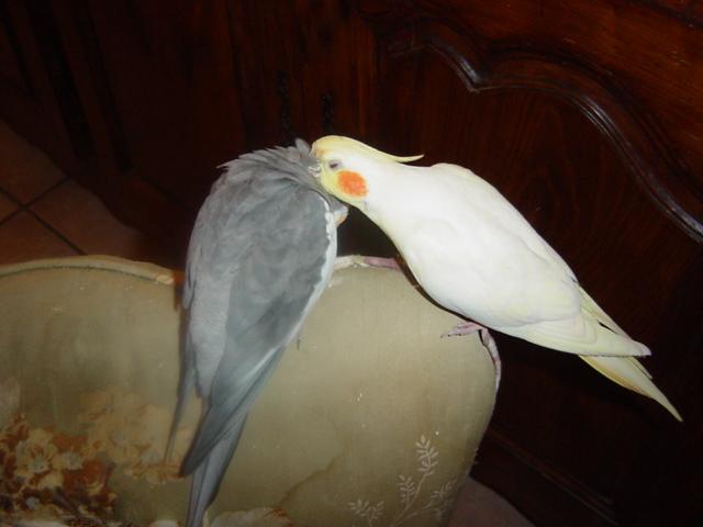 DSC02301 (Small).JPG