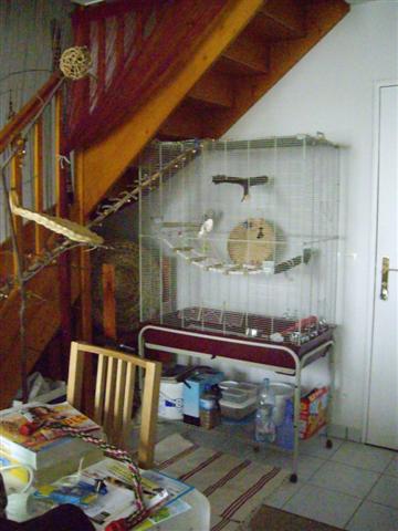 AmÃ©nagement cage calo (Small).jpg