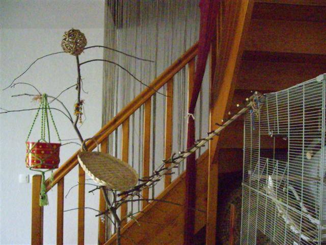 AmÃ©nagement cage calo (1) (Small).jpg