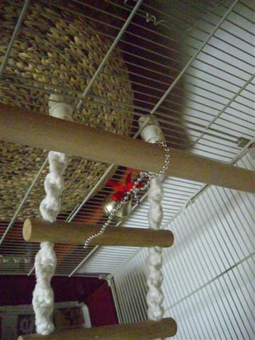 AmÃ©nagement cage calo (4) (Small).jpg