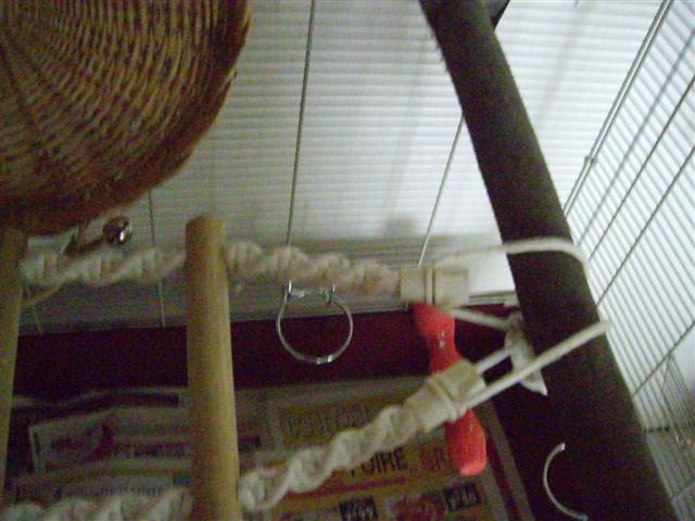 AmÃ©nagement cage calo (5) (Small).jpg