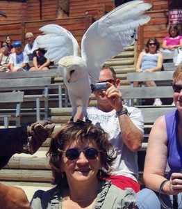 Copie de  Parc aux marmottes 006.jpg