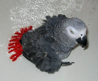 douche aprÃ¨s le travail.jpg