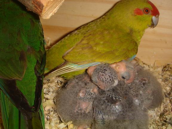 DSC03849 - Copie.JPG