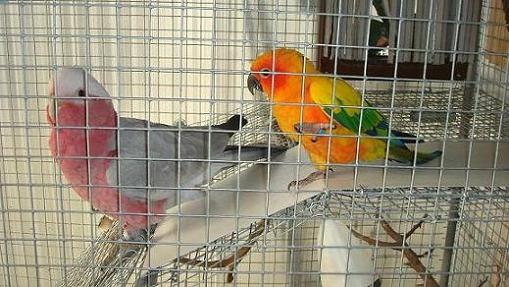 DSC03901 - Copie.JPG