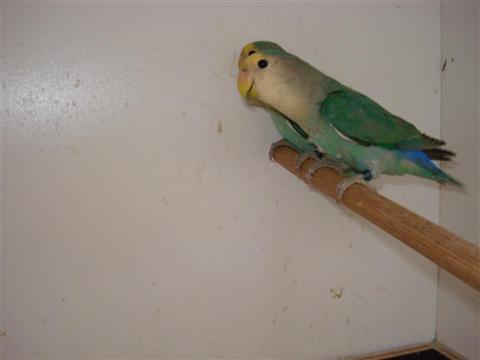 DSC01706 (Medium) (Custom).JPG