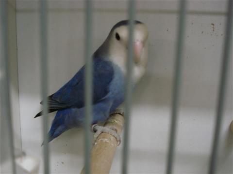 DSC01781 (Medium) (Custom).JPG