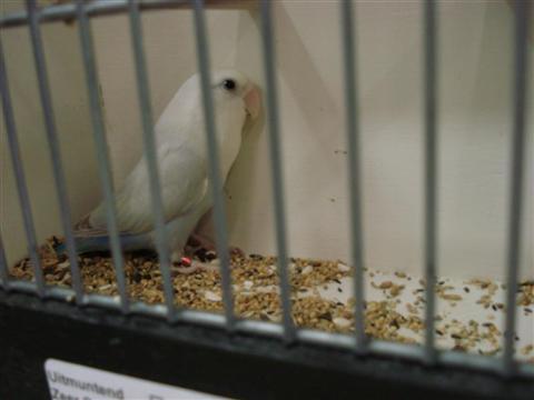 DSC01786 (Medium) (Custom).JPG