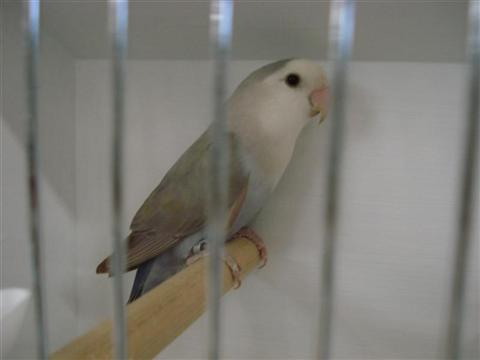 DSC01789 (Medium) (Custom).JPG