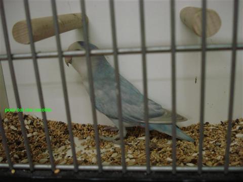 DSC01791$ (Medium) (Custom).JPG