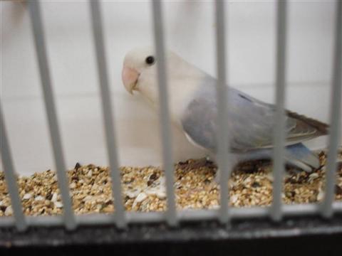 DSC01804 (Medium) (Custom).JPG