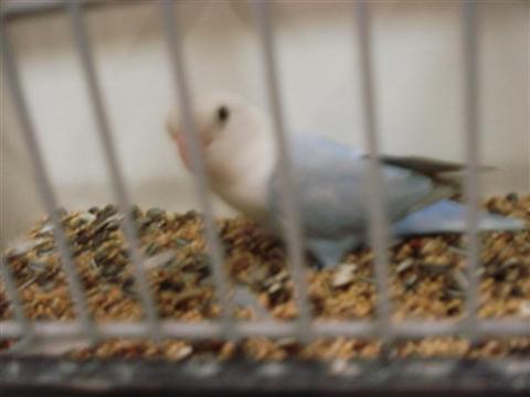 DSC01805 (Medium) (Custom).JPG