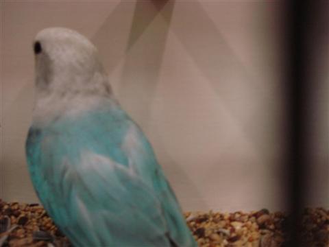 DSC01819 (Medium) (Custom).JPG