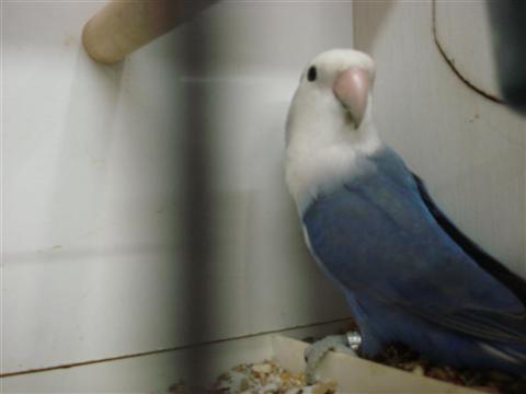 DSC01821 (Medium) (Custom).JPG