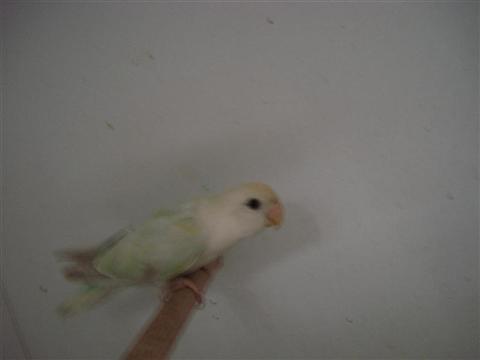 DSC01824 (Medium) (Custom).JPG