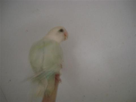 DSC01825 (Medium) (Custom).JPG