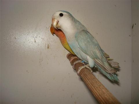 DSC01867 (Medium) (Custom).JPG