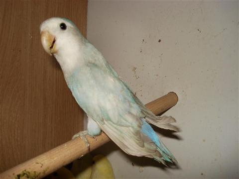 DSC01868 (Medium) (Custom).JPG