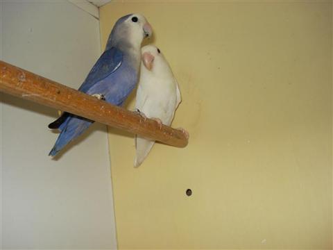 DSC01938 (Medium) (Custom).JPG