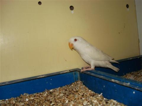 DSC01939 (Medium) (Custom).JPG