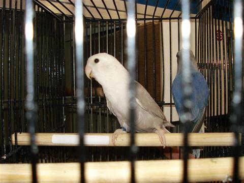 DSC01947 (Medium) (Custom).JPG