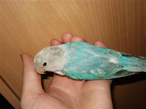 DSC01962 (Medium) (Custom).JPG